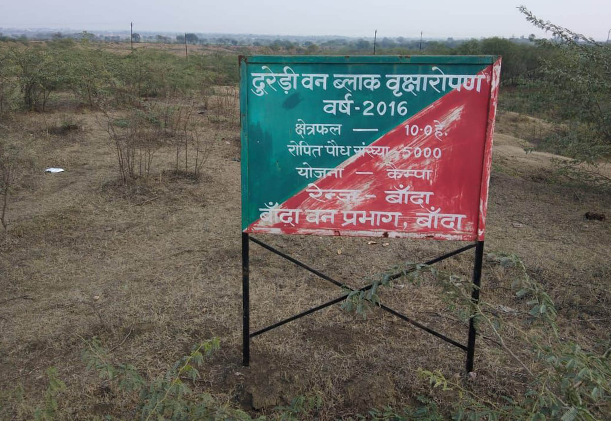 Bundelkhand's plantation scam will go to court
