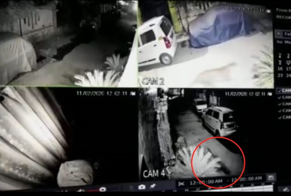 leopard found in gomati nagar in Lucknow.