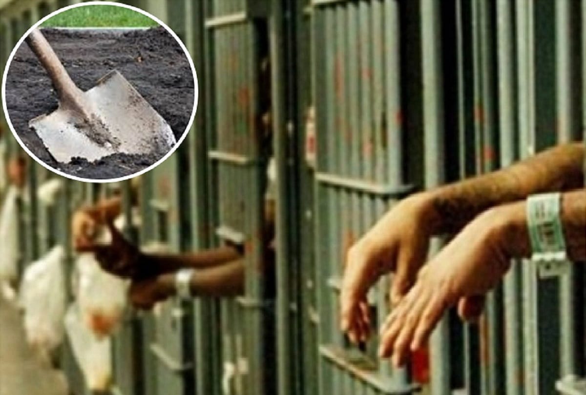 North Korea prisons where prisoners dig their own graves