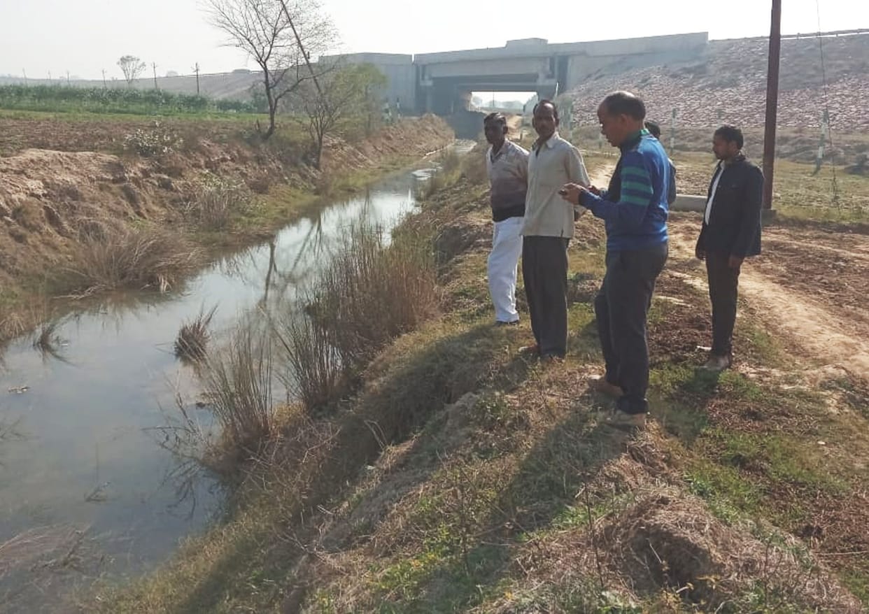 crops dive in water, sdm reach