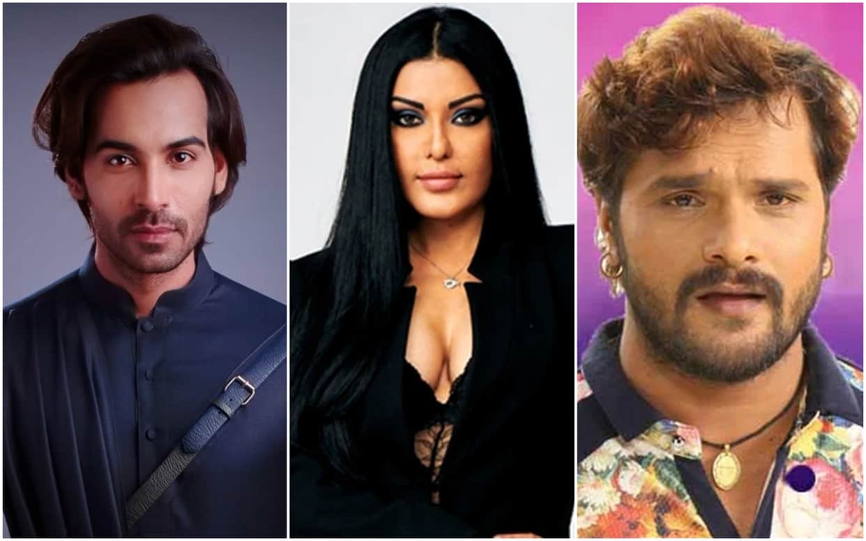 Bigg Boss 13: Koena Mitra Arhaan Khan To Khesari Lal Yadav Celebs Were Missing From Grand Finale