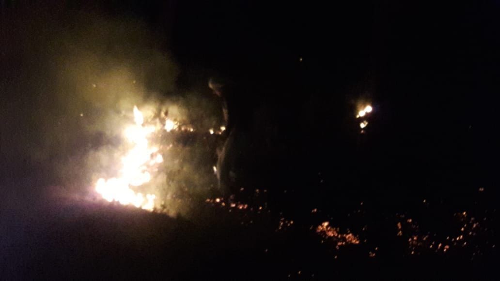 The forest of Dhadhka Bageshwar on the first day of fire season