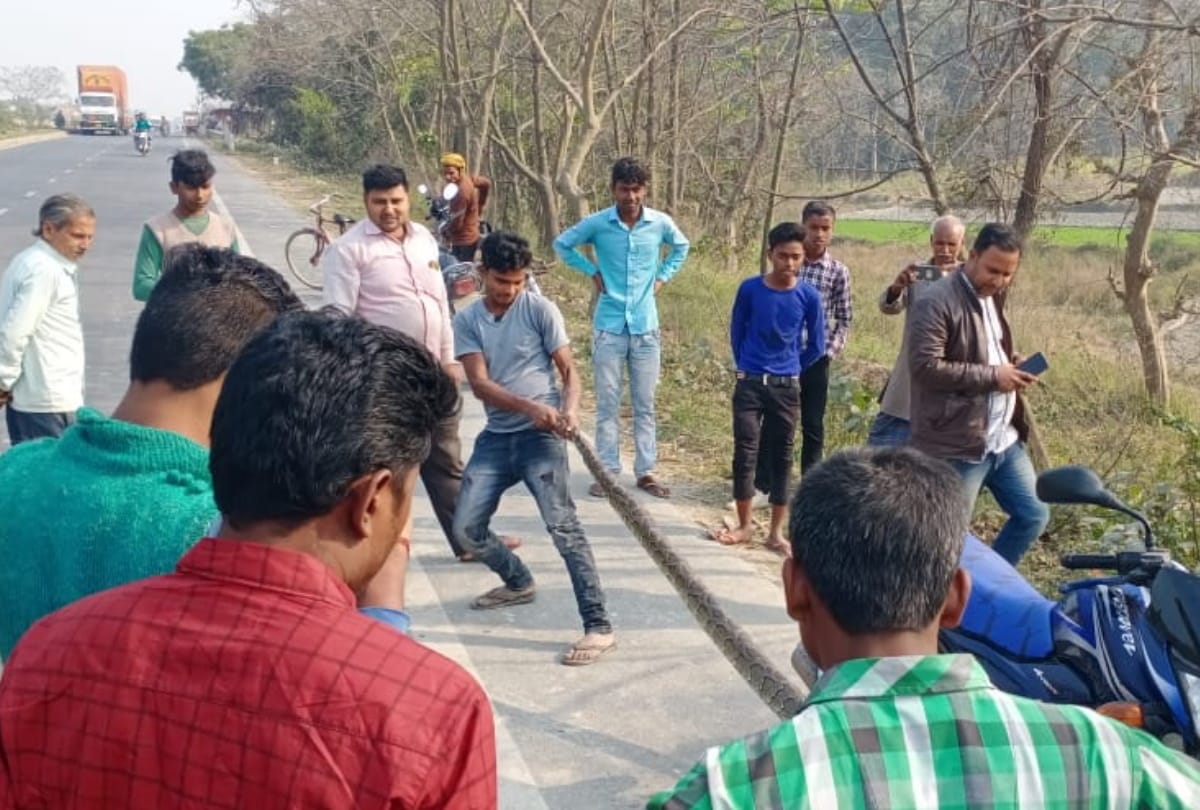 dragon wrapped in bike rear wheel and a young man pull it out in kushinagar