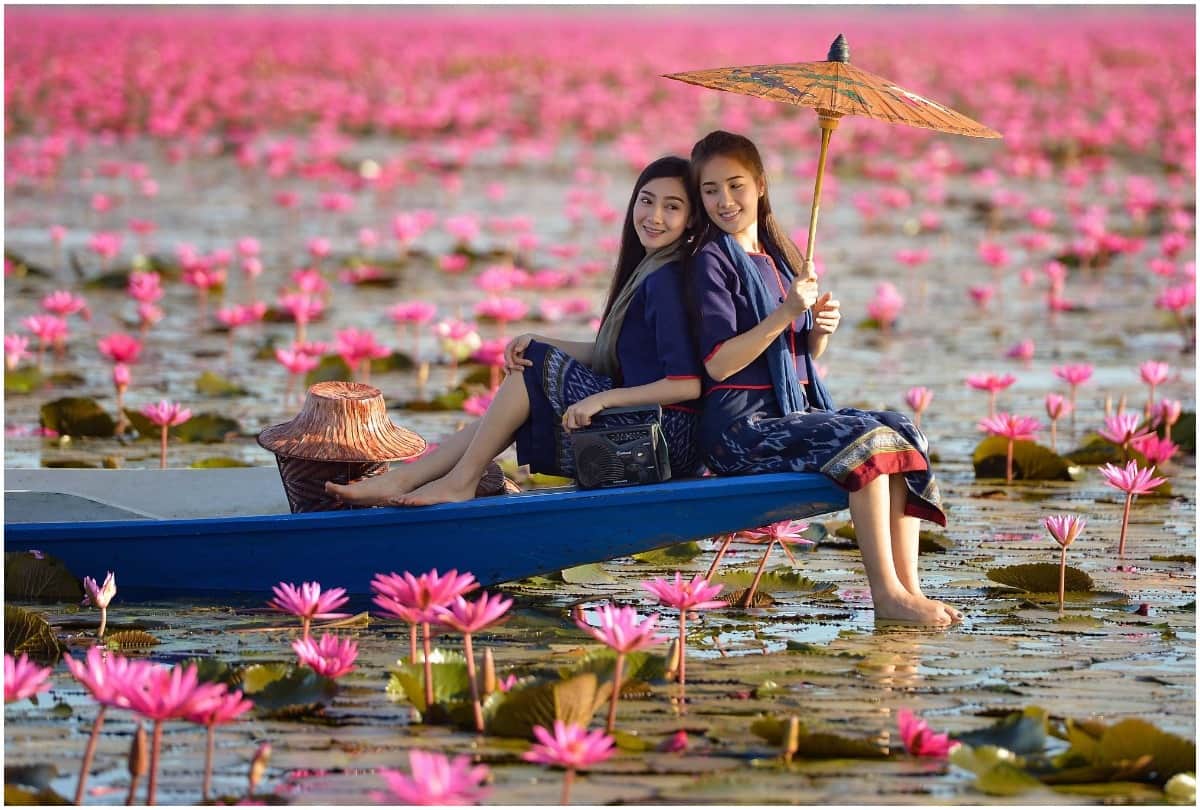Pink Water Lilies Lake in Thailand, beautiful beyond words