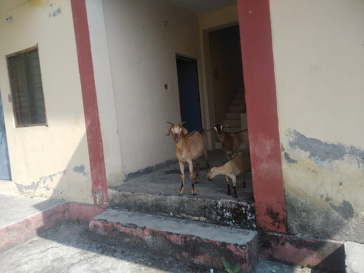 The lock remained hanging in the kheti hospital on Monday as well