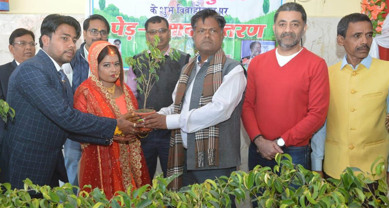 Gift of plants to Baratis including bride and groom