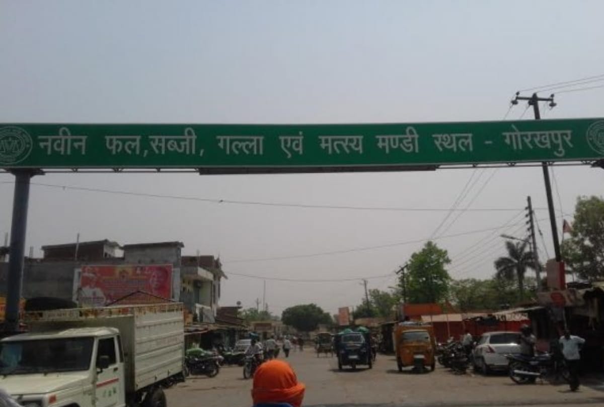Mandi Samiti will started paperless in mahewa mandi gorakhpur