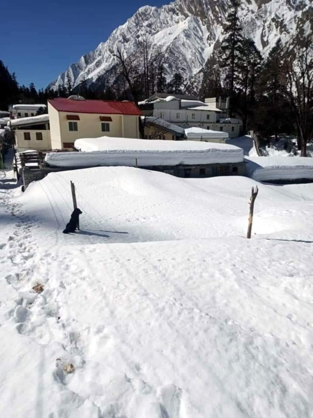 Uttarakhand: Army will remove snow from Hemkund Sahib path from April, date of opening of doors will be announced soon
