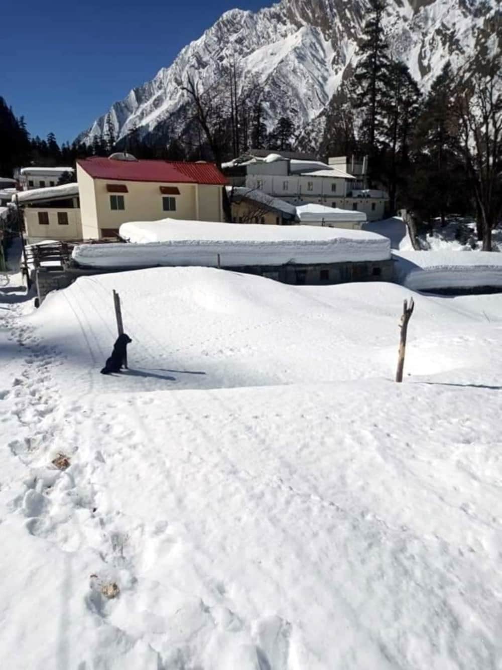 uttarakhand : Hemkund Sahib covered with snow