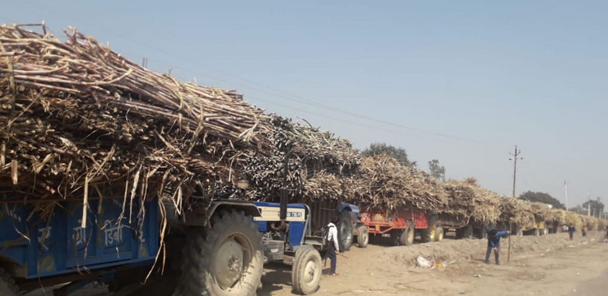 payment deduction,new peraii session of sugarcane