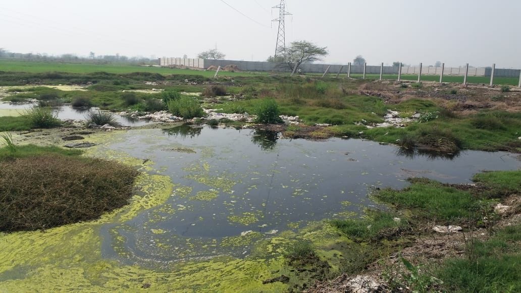 Tapping and polluting arbitrary water will be punished, fined