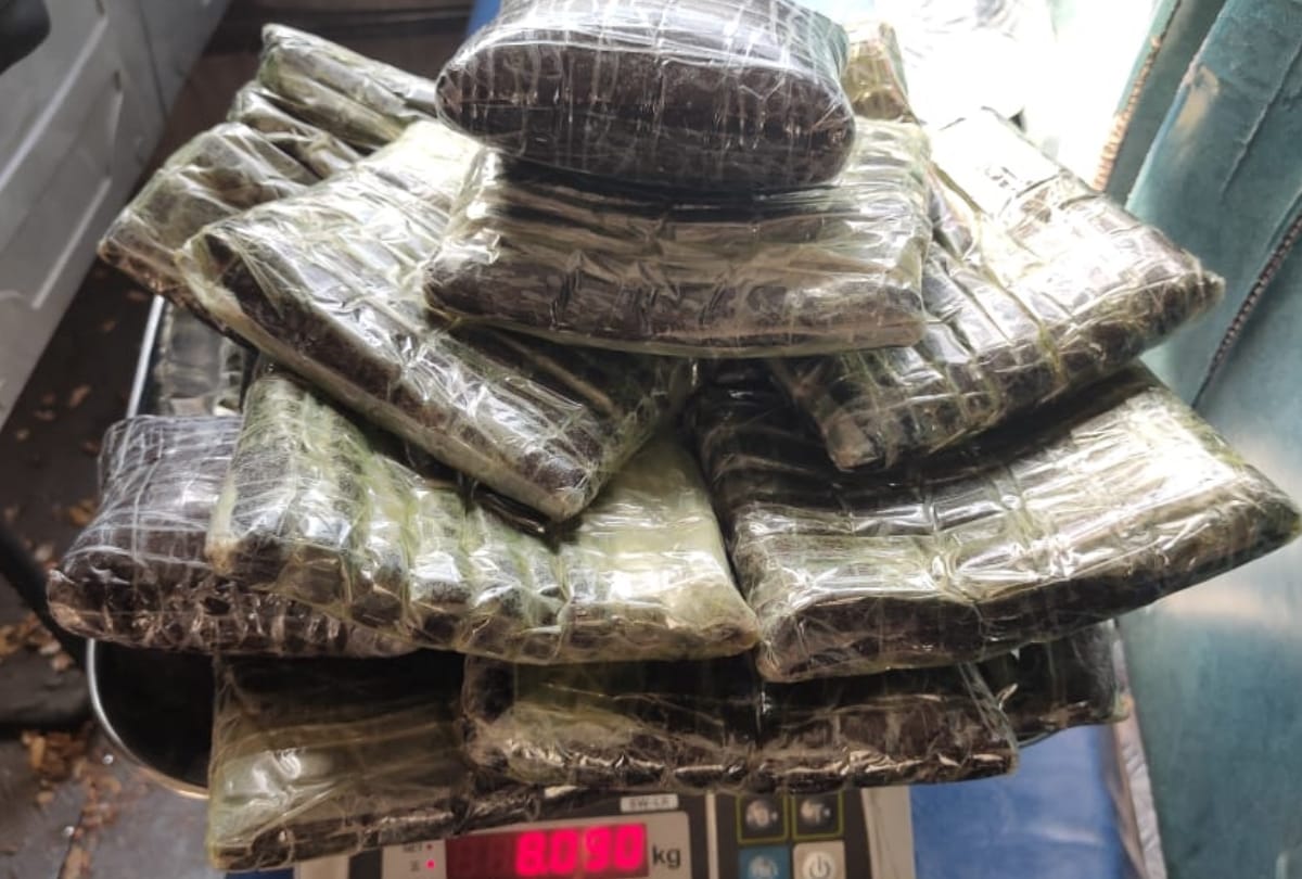 woman among two arrested with eight kg charas in kullu in himachal pradesh