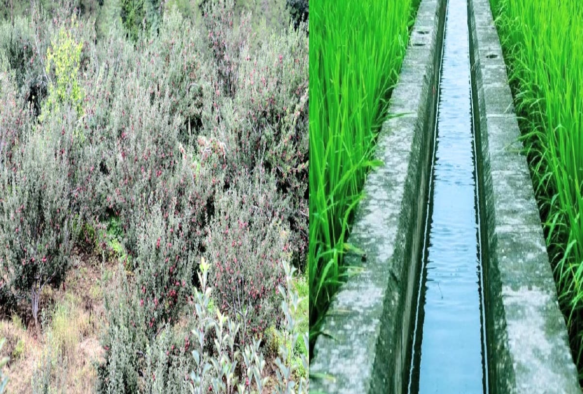 Horticulture and irrigation schemes will work together, will cost more than five thousand crores