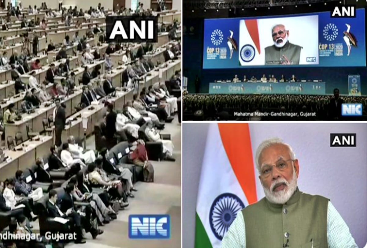 PM Modii addressing 13th Convention on Conservation of Migratory Species in Gandhinagar
