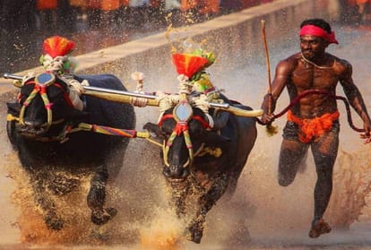 Kambala jockey named Nishant Shetty broke shrinivas Gowda's 100 m record