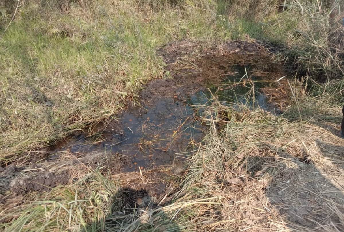 UP Pilibhit dangerous marsh land near Sharda river Sutiya canal looks like playground