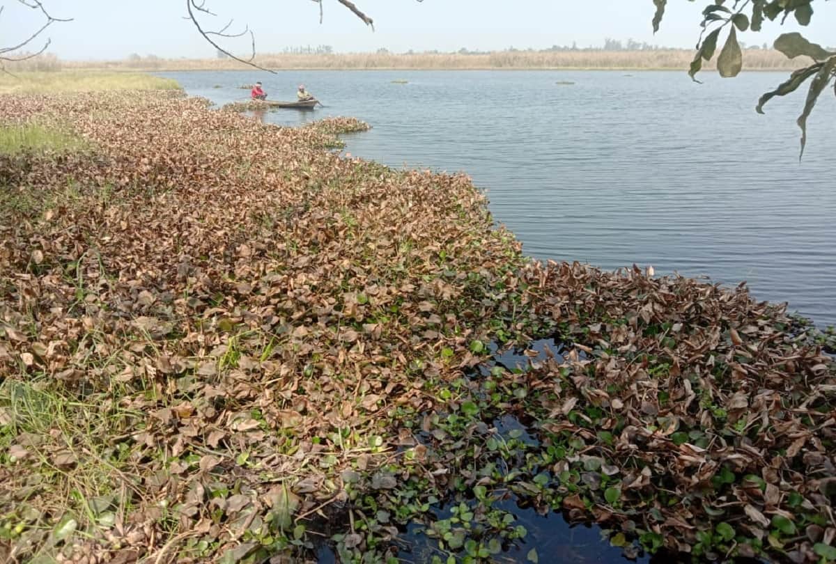 UP Pilibhit dangerous marsh land near Sharda river Sutiya canal looks like playground