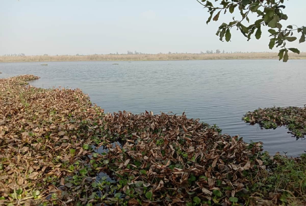 UP Pilibhit dangerous marsh land near Sharda river Sutiya canal looks like playground