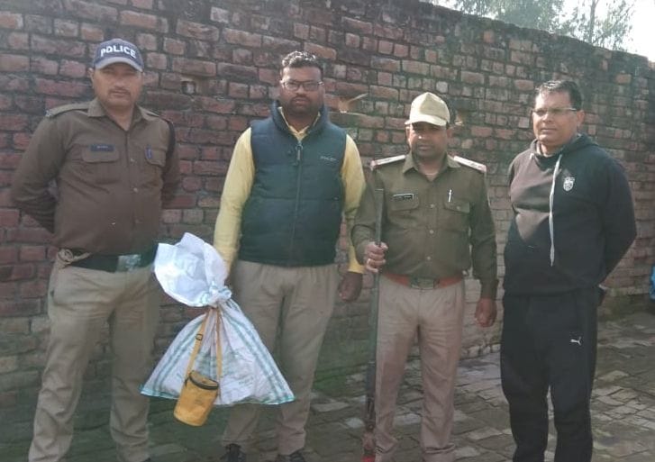 Peacock's flesh and gun recovered