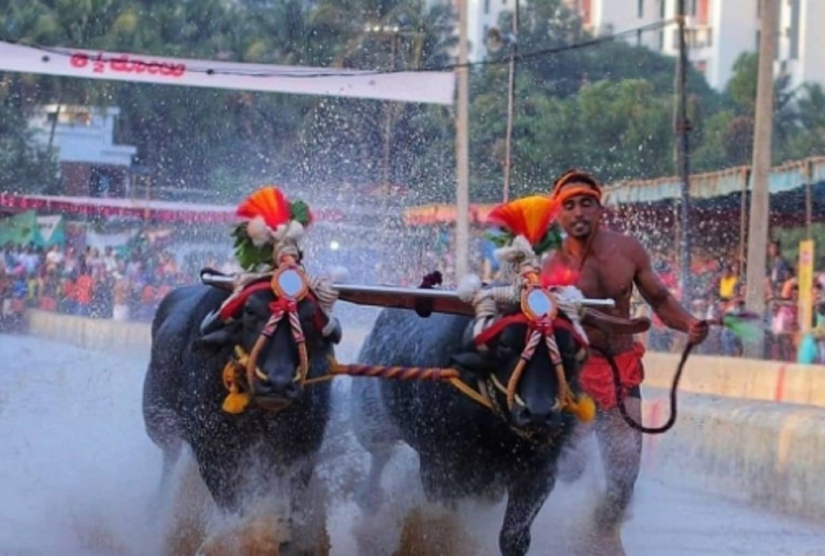 Kambala jockey named Nishant Shetty broke shrinivas Gowda's 100 m record