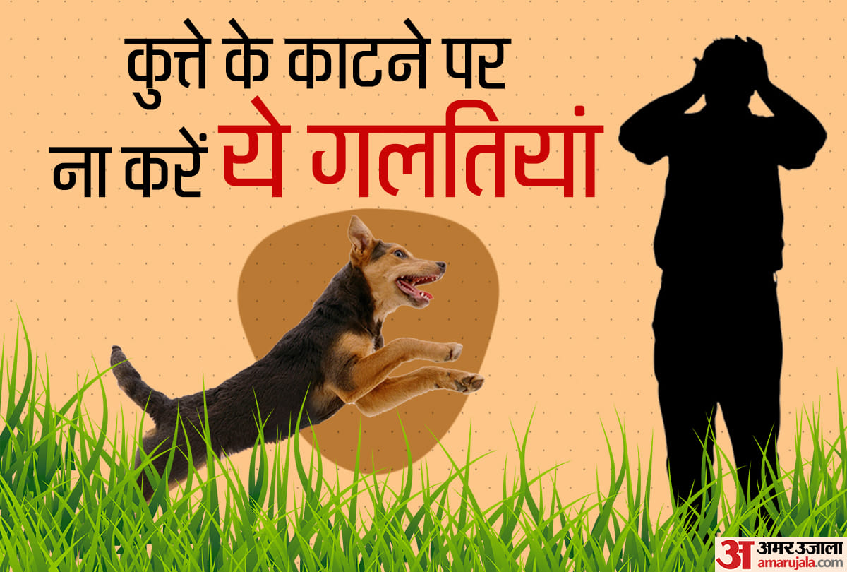 what is rabies rabis symptoms and precautions