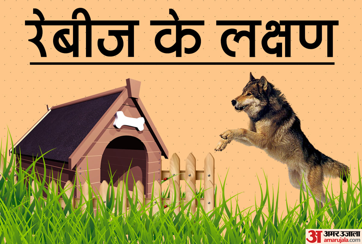 Dog bite treatment signs of rabies know about dog bite infection 