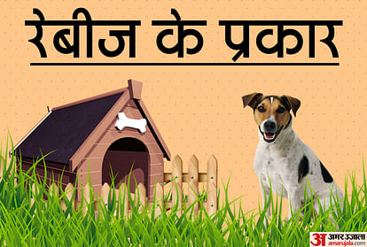 Dog bite sales treatment in marathi