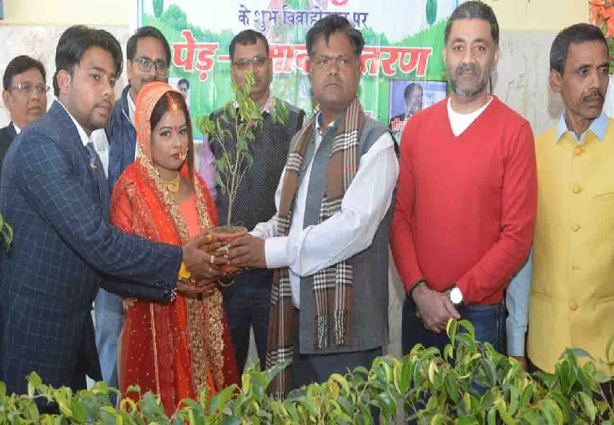Gift of plants given to Baratis including bride and groom in banda