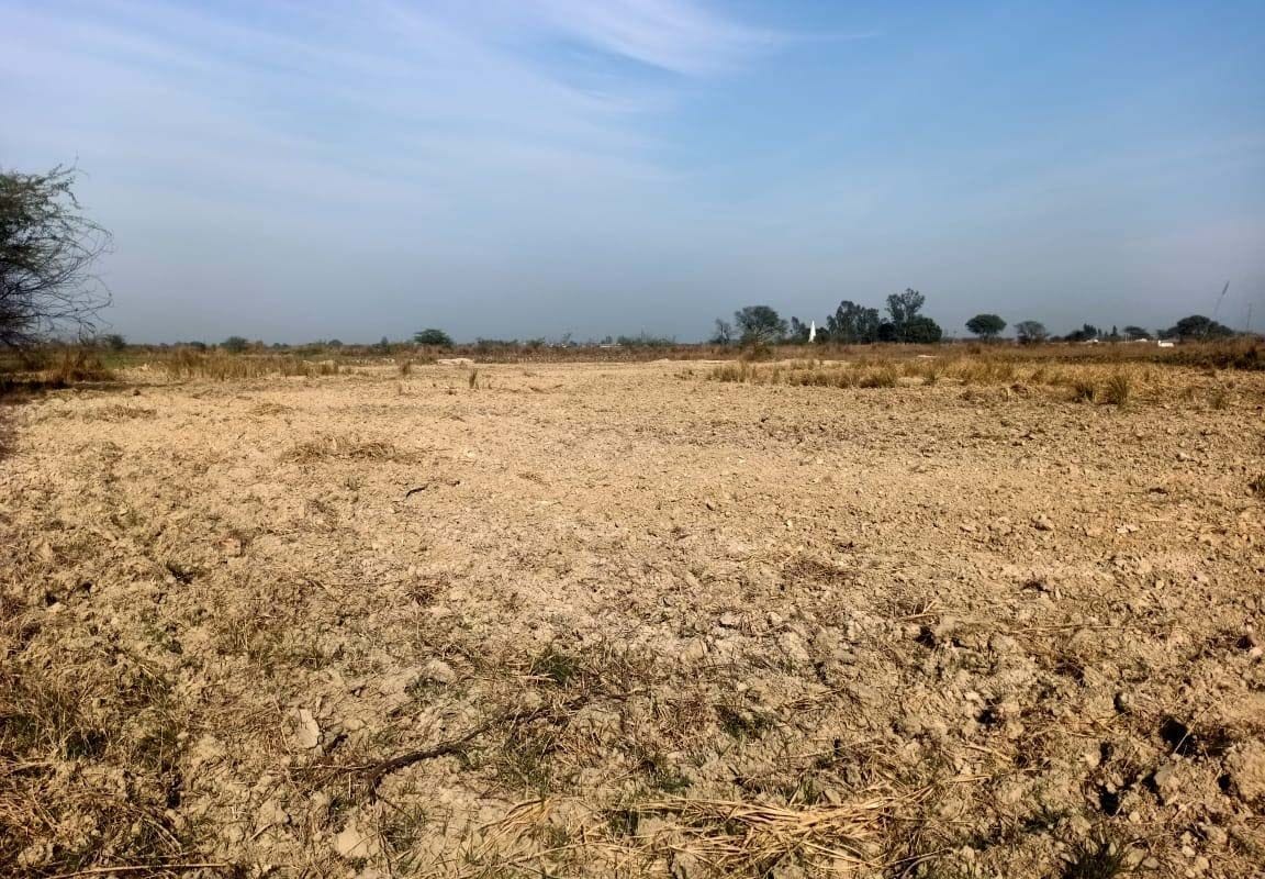agriculture land
