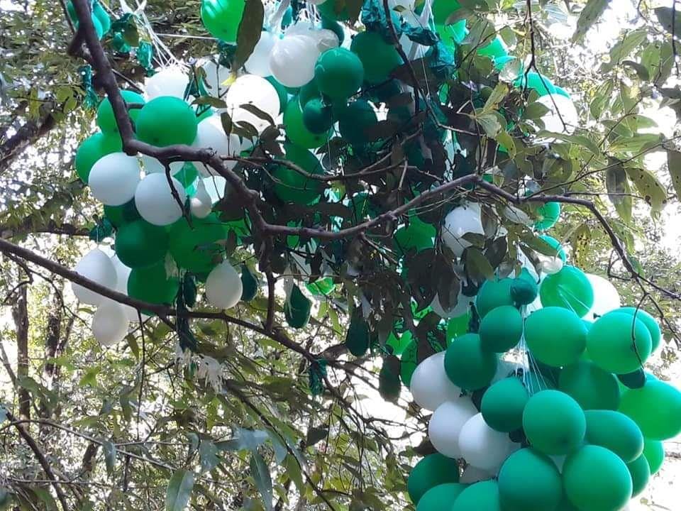 white-green balloons on the tree made curiosity people connect them from Pakistan