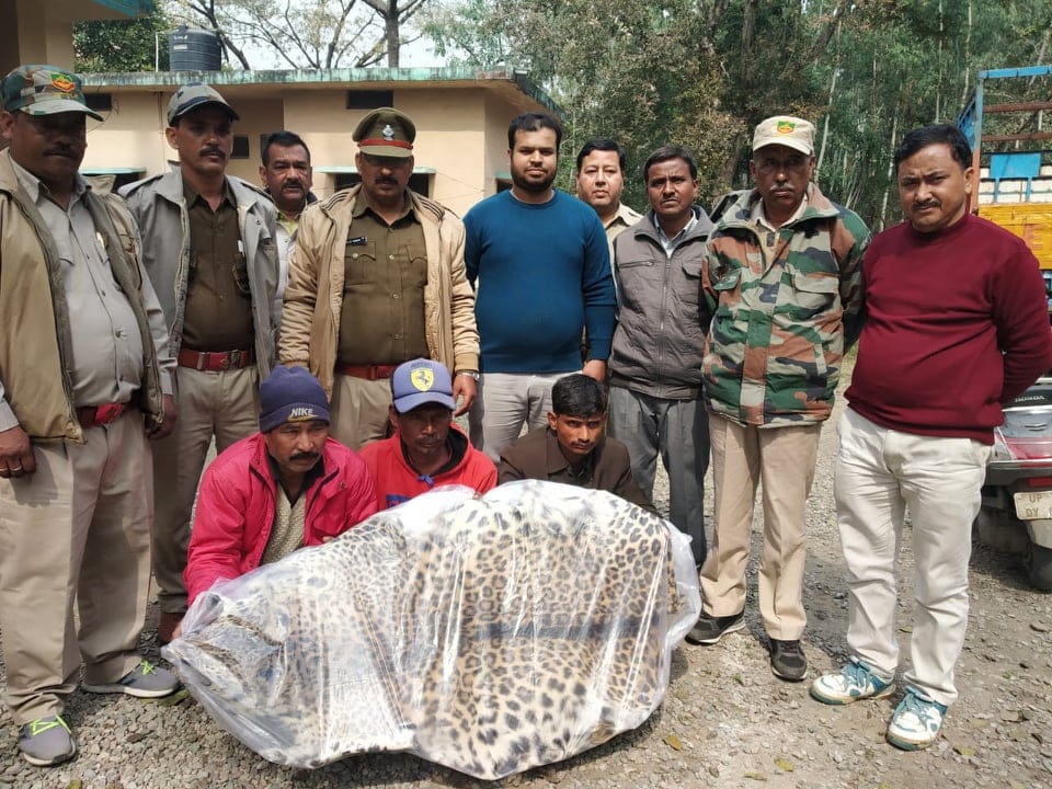 Three Youths Arrested with Leopard skin For Smuggling in haldwani