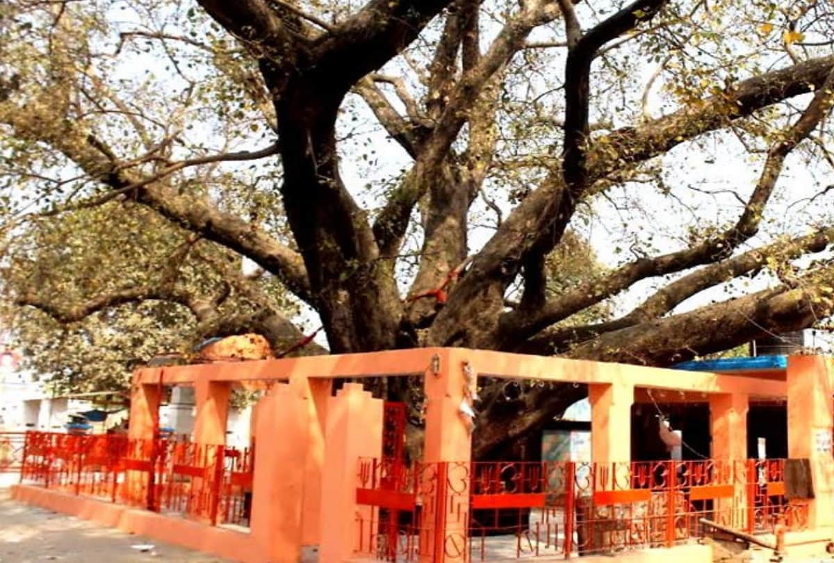 Sawan 2022 special story of Mahadev Jharkhandi shiv temple story in Gorakhpur