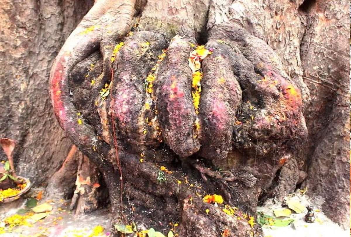 Taking these remedies on Saturday brings happiness and prosperity to your home