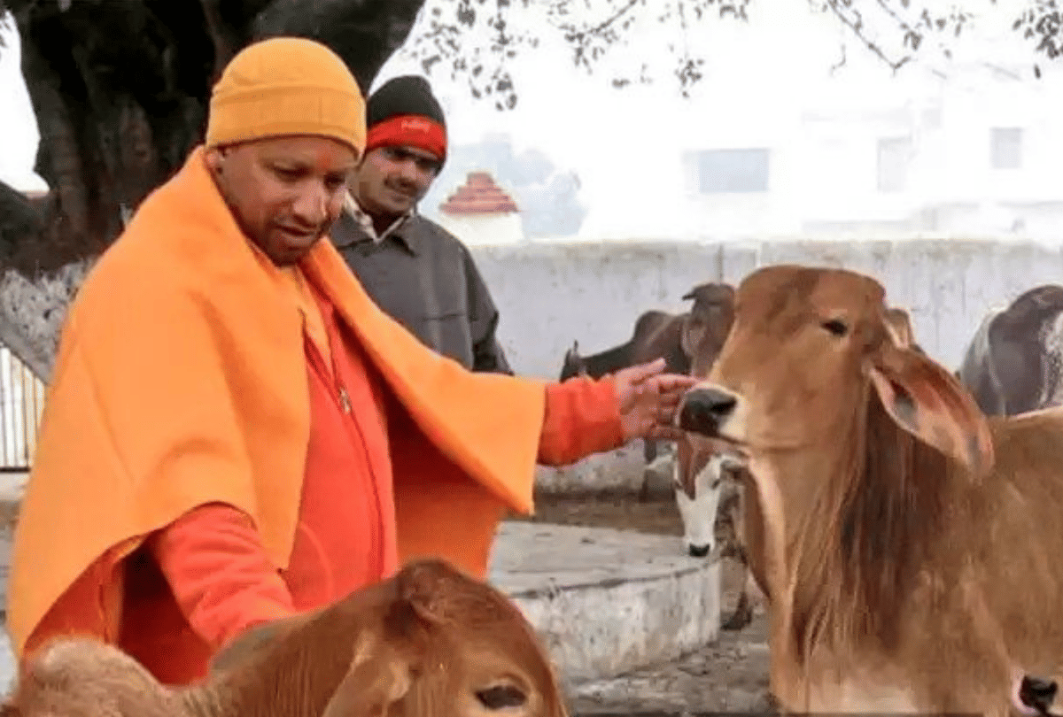 Kiara Advani troll on her Topless Photos funny memes viral