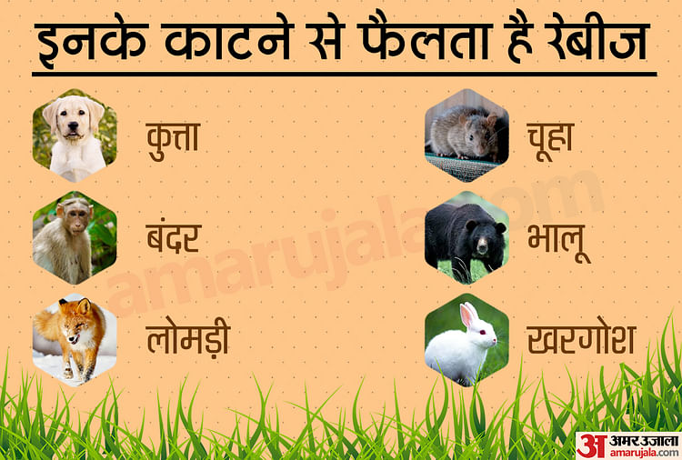 Dog bite injection outlet side effects in hindi