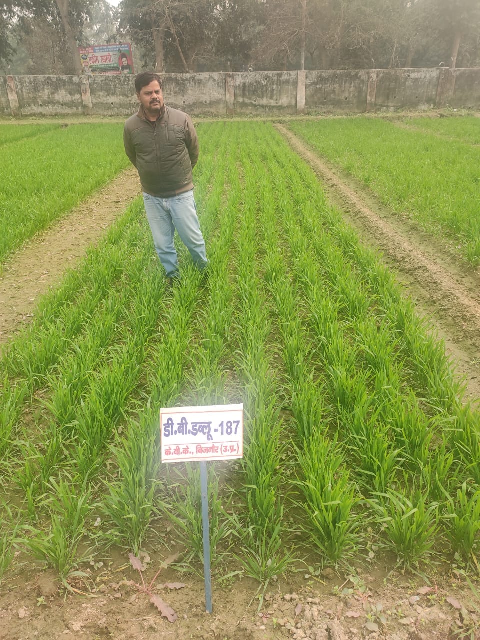 New species will benefit farmers