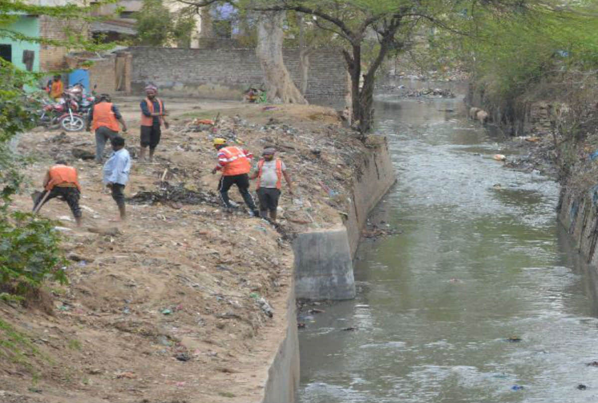 Donald Trump Will Visits Taj Mahal Hollow Tree On Road Monkeys