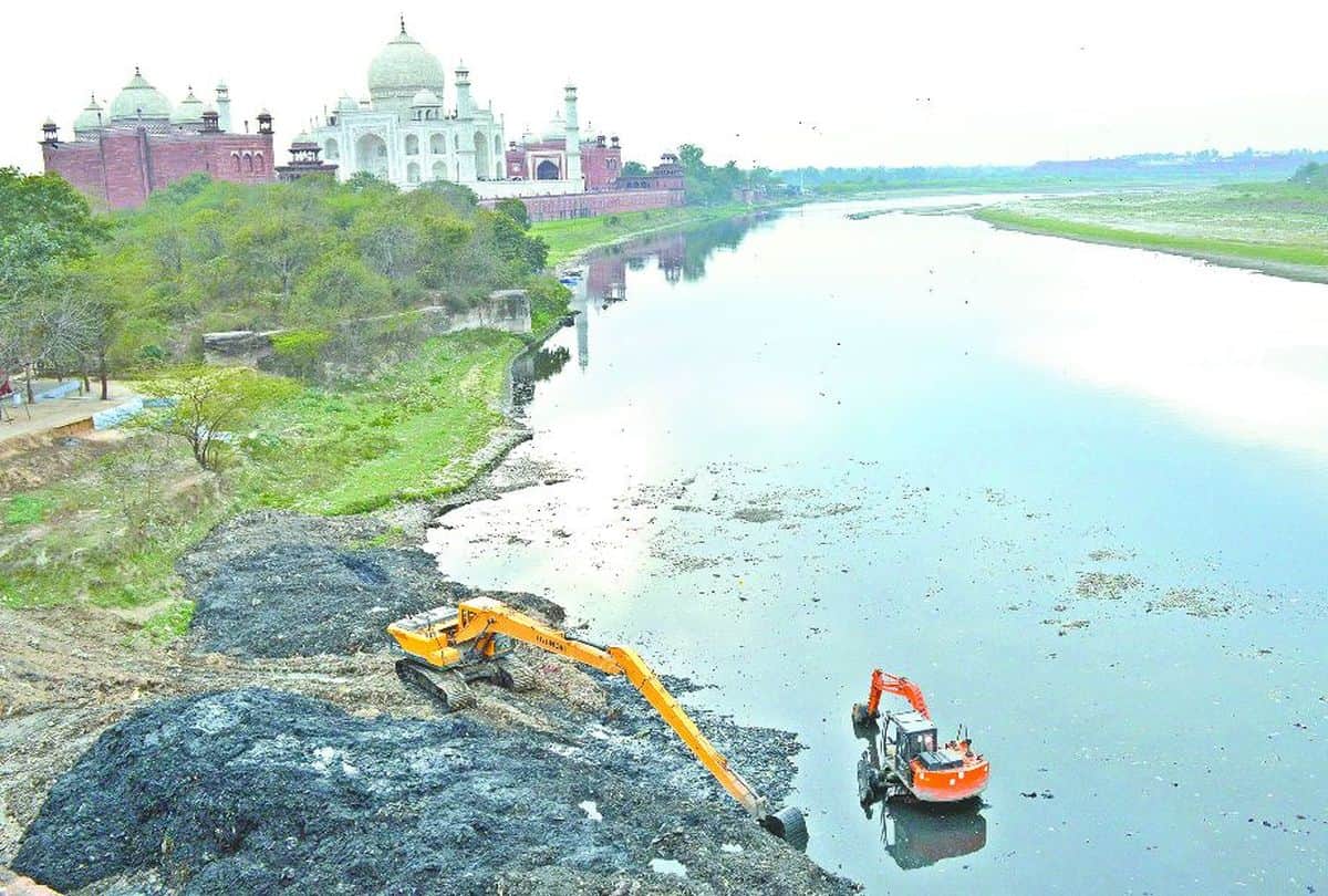 Donald Trump Will Visits Taj Mahal Hollow Tree On Road Monkeys