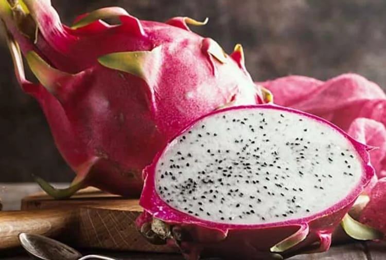 Hylocereus Undatus, Dragon Fruit Ban in India due to Corona Virus in China