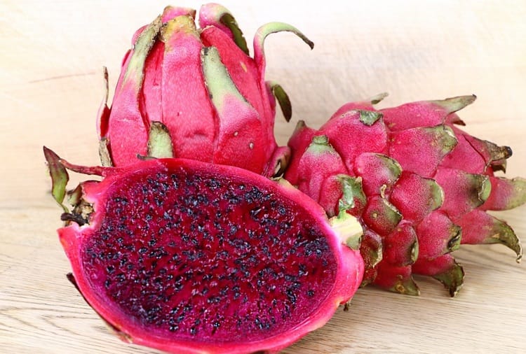 Hylocereus Undatus, Dragon Fruit Ban in India due to Corona Virus in China