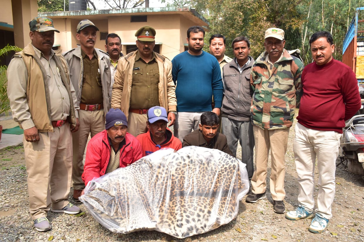 Three smugglers arrested with leopard skin