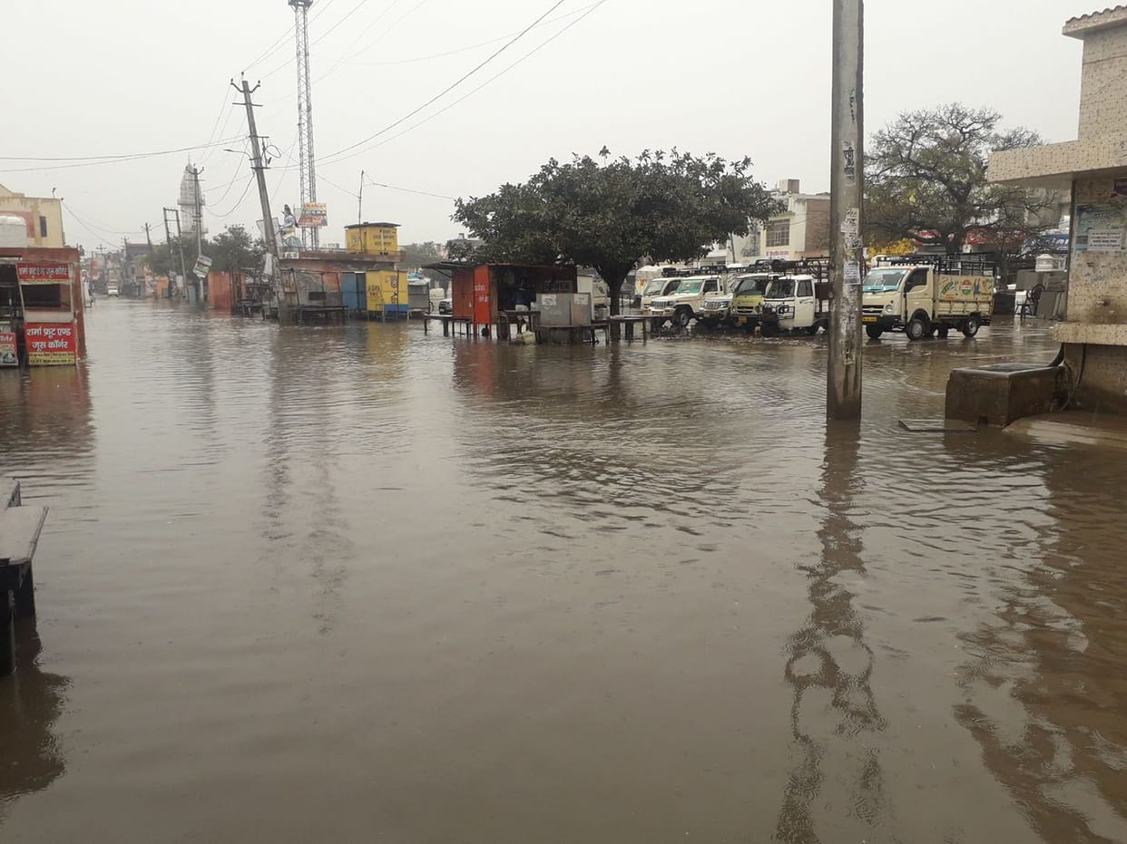 thtree in jind and 5 mm in uchana increased due to rain