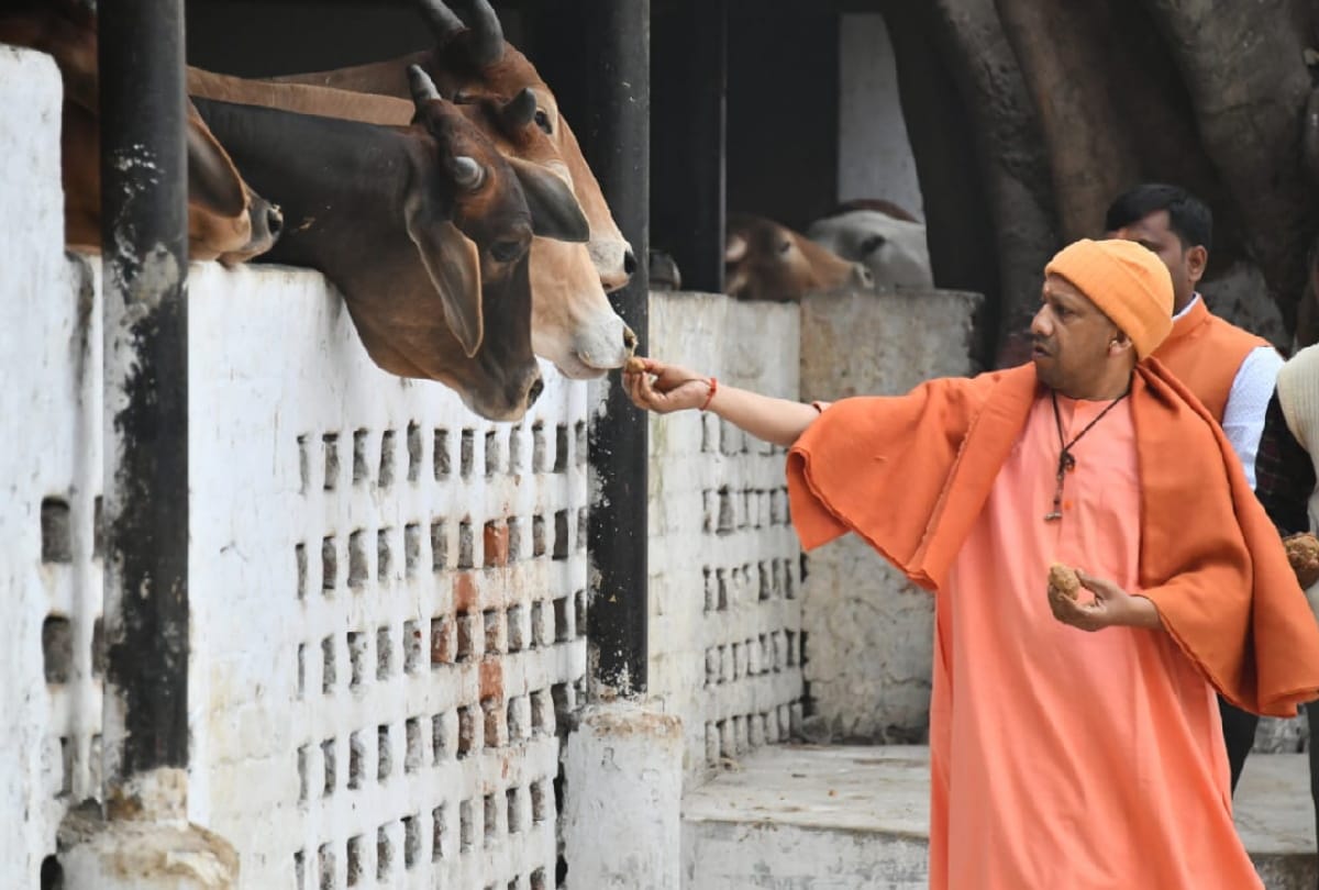 CM Yogi adityanath hearing people in janta darbar at Gorakhnath Temple in Gorakhpur