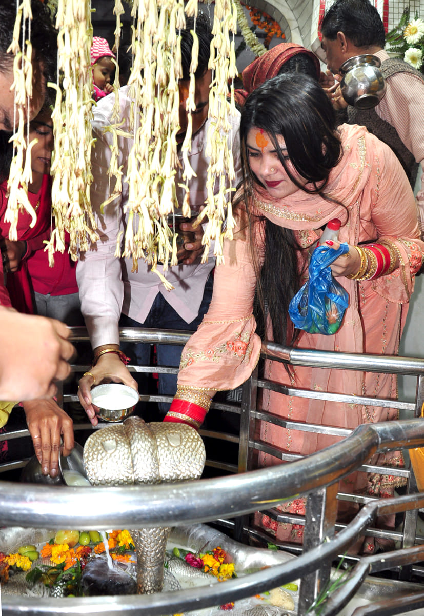 The flood of faith rose on Mahashivratri