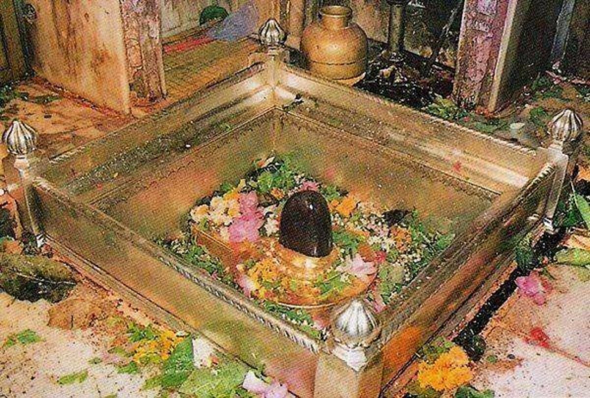 Mahashivratri 2021 Do not make mistakes during offer belpatra to lord shiva