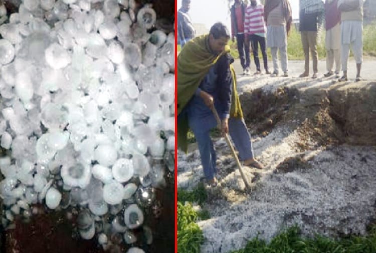 Punjab received light rain, hailstorm harm to crop