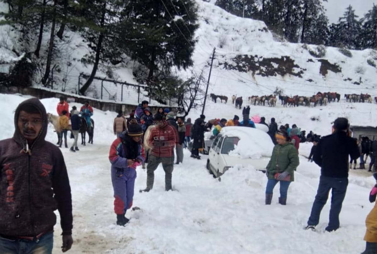 Fresh Snowfall in Shimla, Kufri, Narkanda, Rohtang, Kullu, Lahaul  spiti in Himachal Pradesh