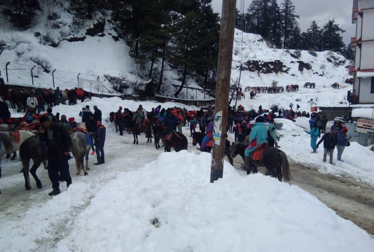 Fresh Snowfall in Shimla, Kufri, Narkanda, Rohtang, Kullu, Lahaul  spiti in Himachal Pradesh