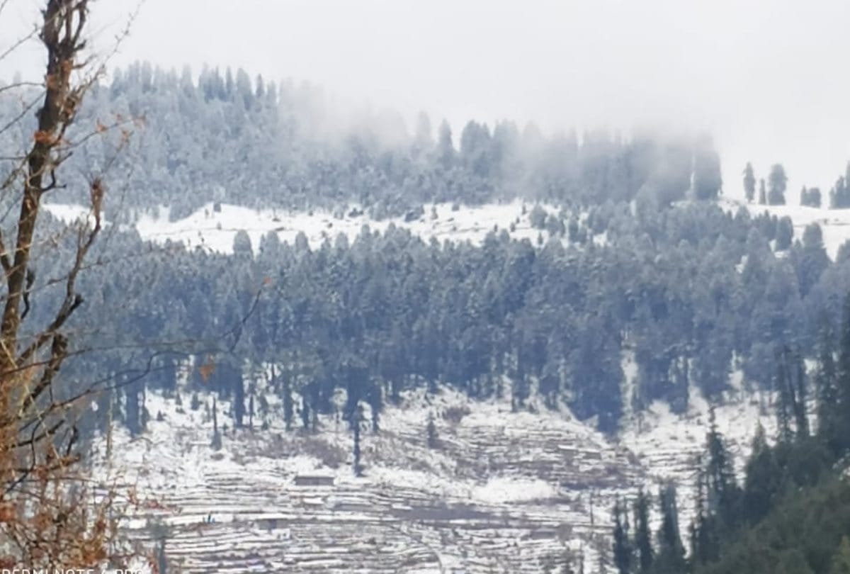 Fresh Snowfall in Shimla, Kufri, Narkanda, Rohtang, Kullu, Lahaul  spiti in Himachal Pradesh
