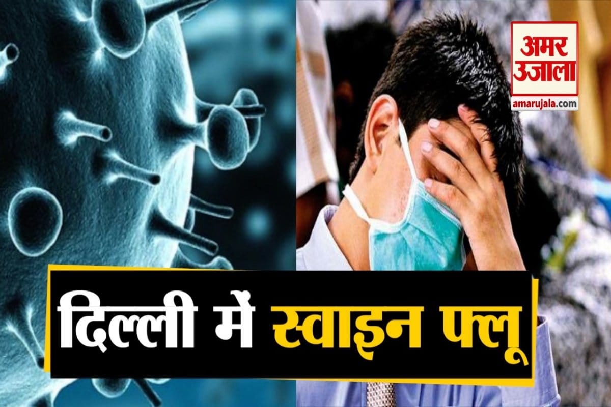 Most swine flu patients were found in Delhi